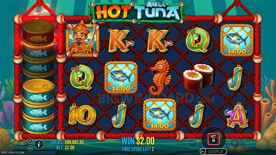 nn777 Craps Betting Explained