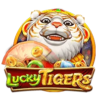 Live Casino Provider 3