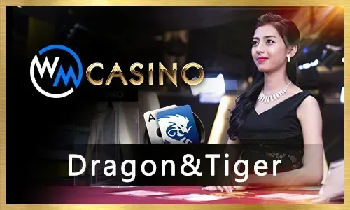 Online Bingo Fun